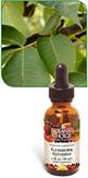 Gymnema Sylvestre herbal supplement for healthy glucose levels